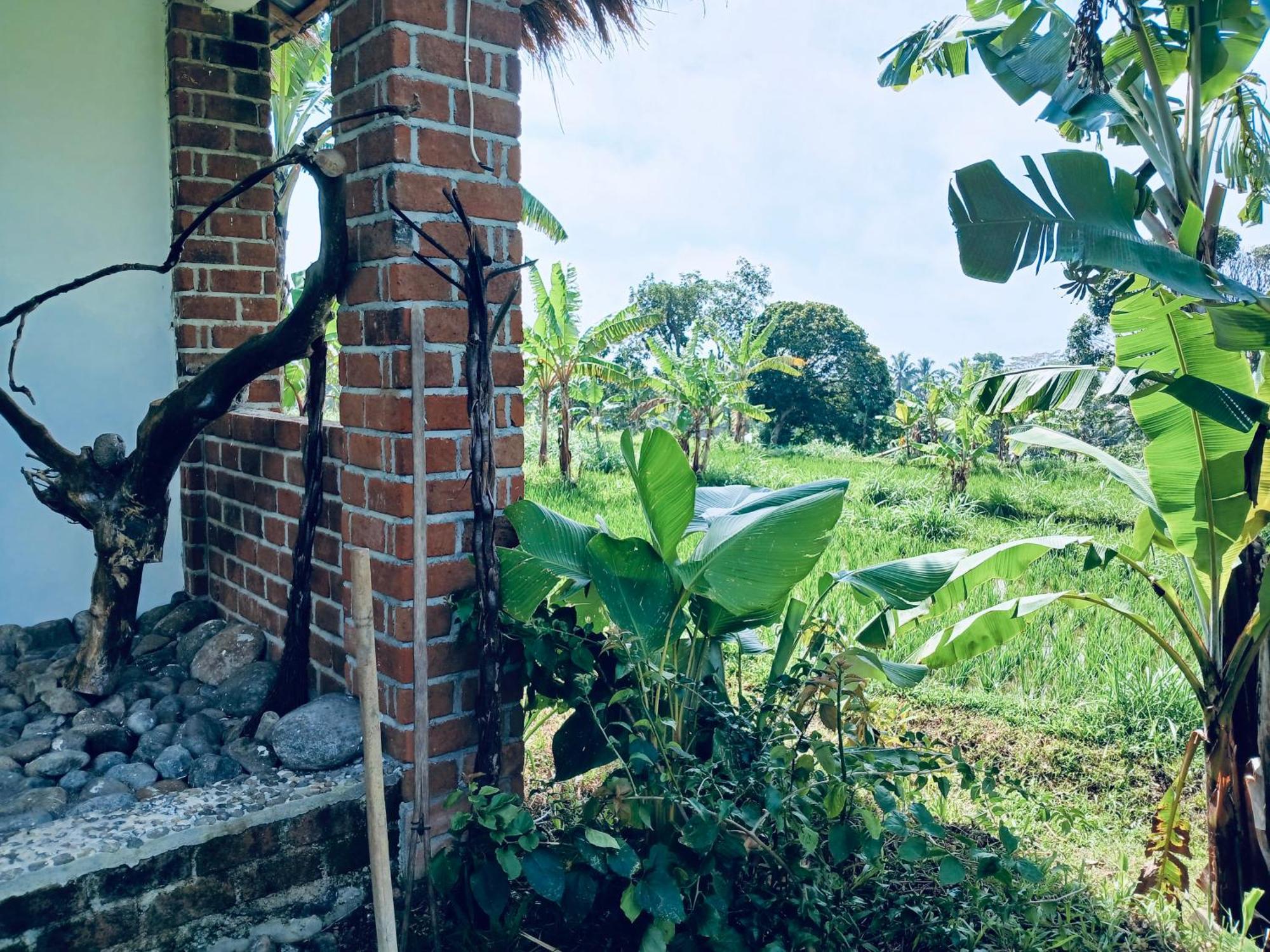 Opik Homestay Tete Batu Tetebatu Zewnętrze zdjęcie